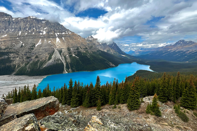 From Banff/Canmore: Lake Louise and Icefield Parkway Tour