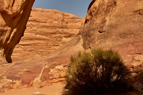 Wadi Rum: Private Jeep Tour & Umm Addami Mountain (Full Day)