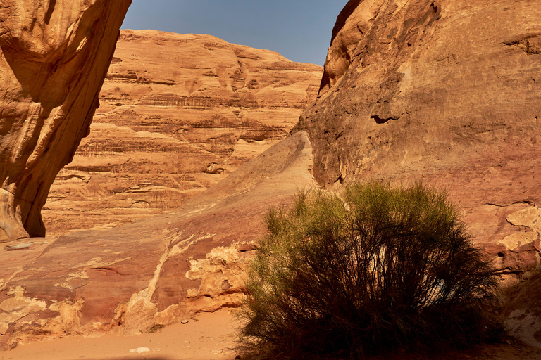Wadi Rum: Private Jeep Tour & Umm Addami Mountain (Full Day)