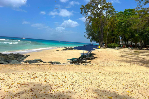 Bajan Beach Day, nurkowanie z rurką i wycieczka do wraku statku w Thunder Bay