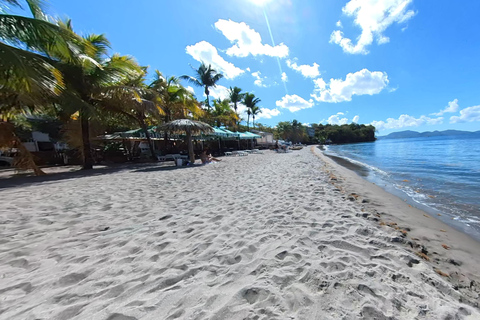 NOORD CARIBISCHE KUST EN TROPISCH WOUD HELE DAG TOUR