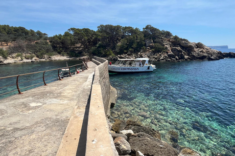 Santa Ponta/Peguera: Dragonera Island Cruise with Swim StopTour with Santa Ponsa Meeting Point