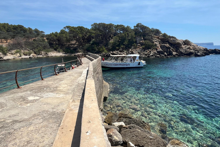 Santa Ponta/Peguera: crociera sull&#039;isola Dragonera con sosta per nuotareTour con punto di incontro a Santa Ponsa