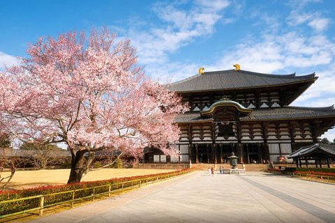 One Day Private Customized Self-Guided Tour in Nara One Day Customized Self-Guided Tour in Nara