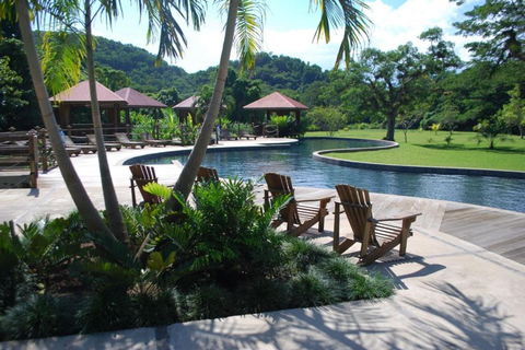 Montego Bay/Negril: Appleton Rum Experience & YS Falls Climb