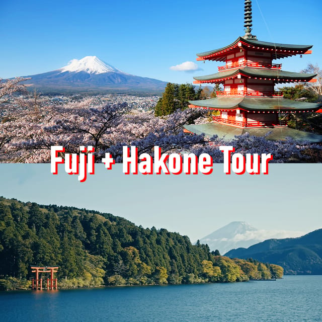 Tokyo to Mount Fuji and Hakone Private Fullday Tour GetYourGuide