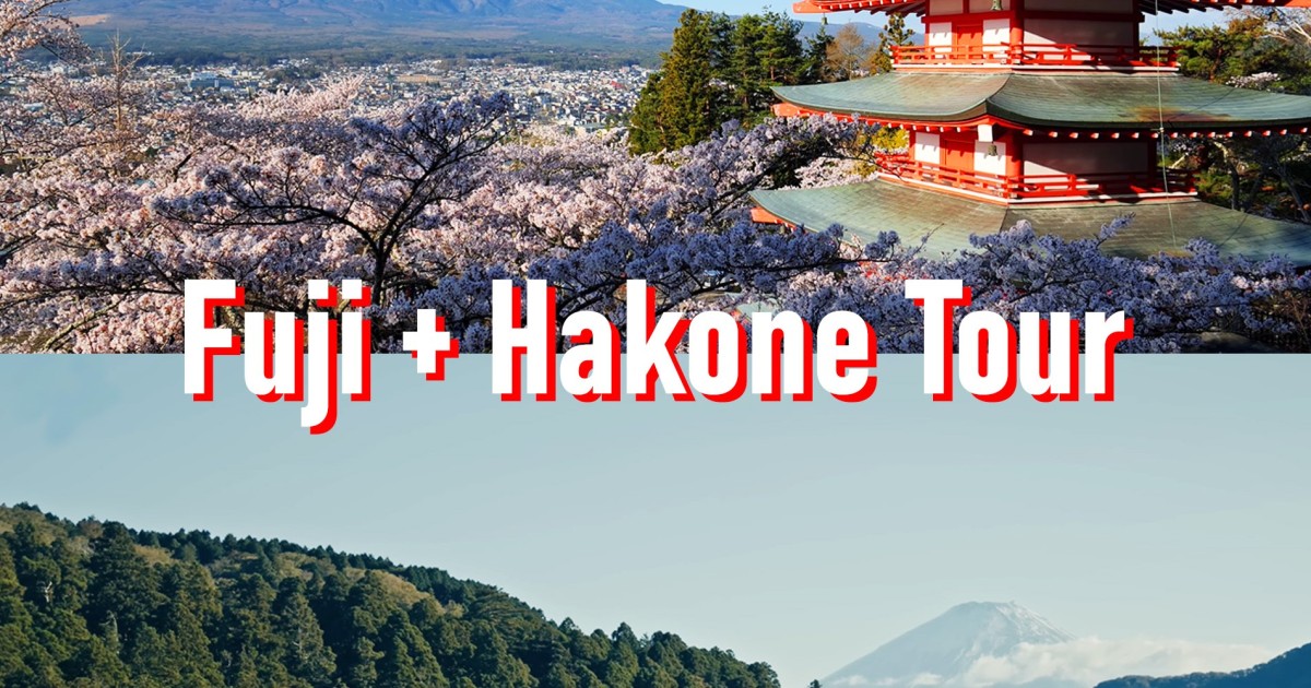 Z Tokio Na Górę Fuji I Do Hakone Prywatna Całodniowa Wycieczka Getyourguide 2931