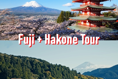 Excursion privée d'une journée de Tokyo au Mont Fuji et à HakoneDe Tokyo au Mont Fuji et à Hakone - chauffeur seulement