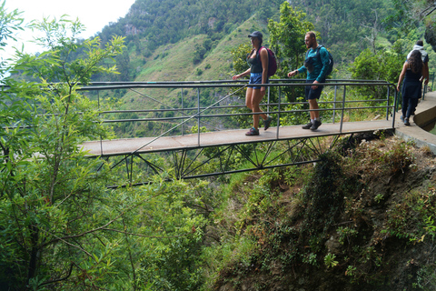 From Funchal: Wet your hair in the amazing Moinhos Levada