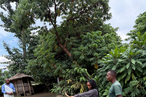 Kigali: Bigogwe, Lake Kivu & Dian Fossey Campus 2-Day Tour