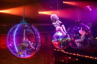 VIP offer , Napoleon Dinner & Show at Paradis Latin Cabaret - Housity