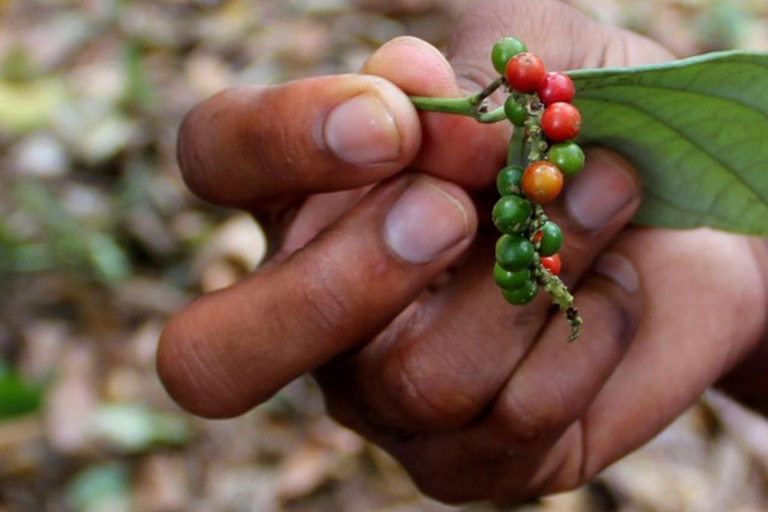 Pemba: wioska Tumbe, farma przypraw i wycieczka na wyspę Kojani
