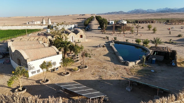 Hurghada Desert Oasis Adventure:Farm, Planting & Relaxation