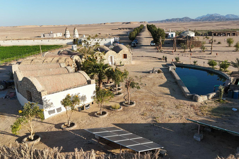 Hurghada: safari jeepem, sadzenie drzew i lunch „od pola do stołu”Hurghada: safari jeepem, sadzenie drzew i lunch "od pola do stołu"