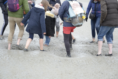 Mont-saint-Michel: begeleide wandeling aan de voet van de Merveille