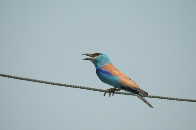 From Yerevan: Armenia 3-Day Bird Watching & Hiking Adventure