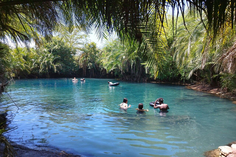 Moshi: Viagem de 1 dia às Termas de Chemka