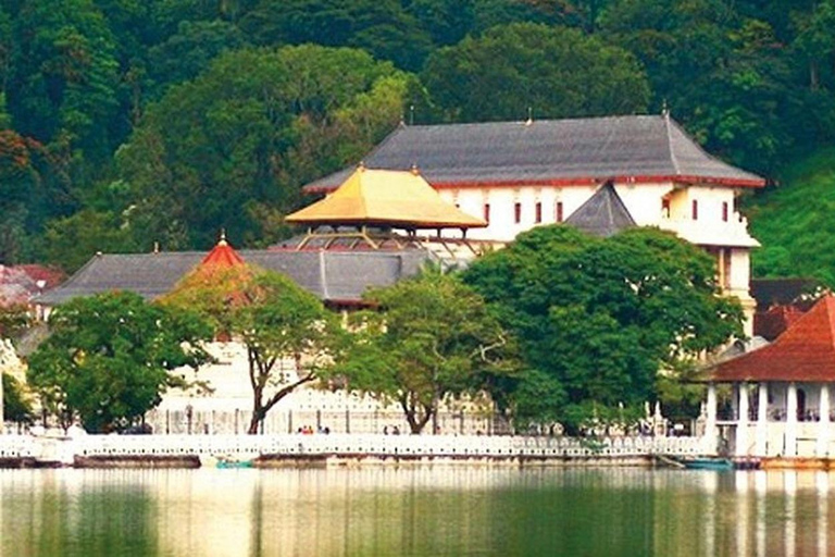 Kandy: Trincomalee Guided Cultural Heritage & Coastal Tour