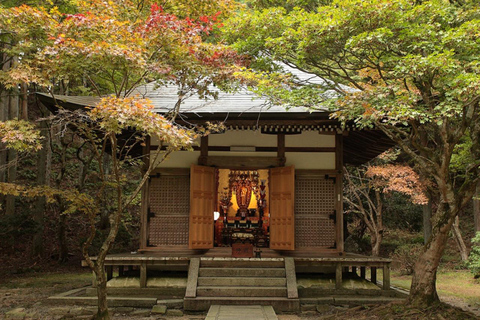 From Kyoto: Lake Biwa & Omi Hachiman Private Day Trip
