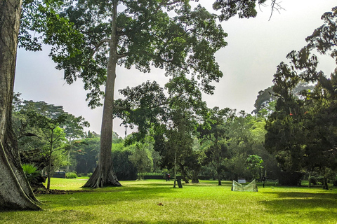 Excursão às Cataratas do Boti e aos Jardins de Aburi