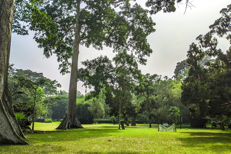 Excursão às Cataratas do Boti e aos Jardins de Aburi