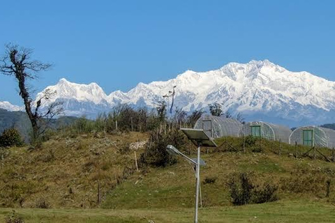 Bagdogra: Sandakphu & Phalut Trek with Meals & Guide