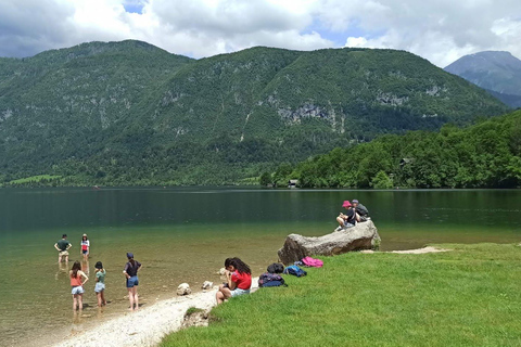 Slovenien: Bledsjön och Bohinjsjön Privat turSlovenien: Bledsjön och Bohinjsjön Privat tur med skåpbil