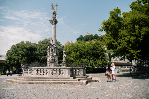 Trasferimento da Budapest a Vienna con tour della città di BratislavaTour con pranzo in ESP/FRE/ITA/RU