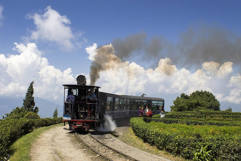 De Darjeeling: 8 dias de caminhada pelo circuito de Sandakphu