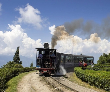 Da Darjeeling: trekking di 8 giorni nel circuito di Sandakphu
