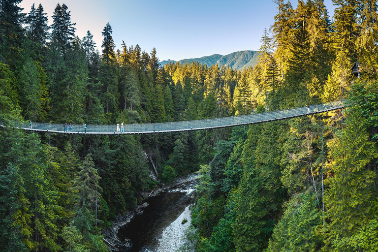 Vancouver: Capilano Bridge & Grouse Mountain All Inclusive