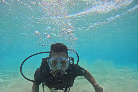 Scuba Diving, Snorkeling, and Boat Tour PADI SSI