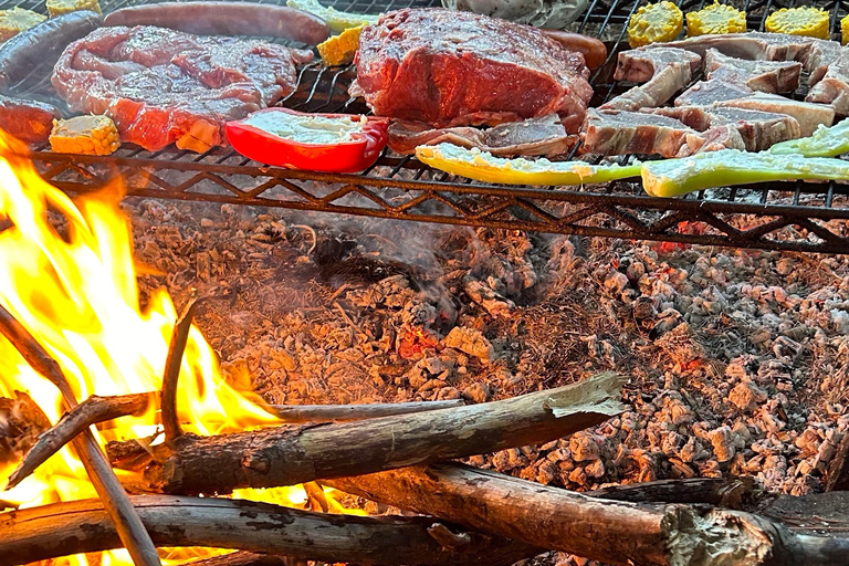 Vineyard, Valparaiso, Horseback Riding, Sea L &amp; BBQ Day Trip