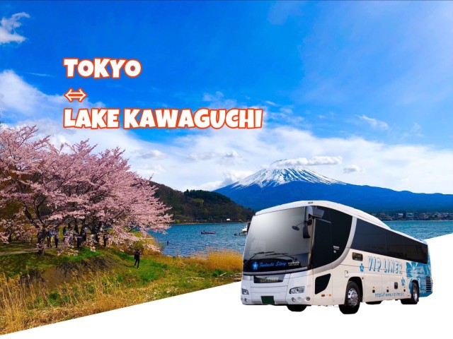 Visit Lake Kawaguchi from Tokyo Express Bus Oneway/Roundway in Fujikawaguchiko