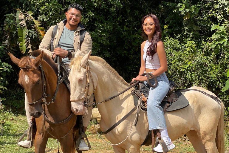 Medellín : excursion à cheval à Caldas avec boissonsMedellín : excursion équestre à Caldas avec boissons