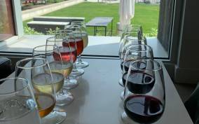 Wine & Cheese Afternoon Wine Tours in NOTL