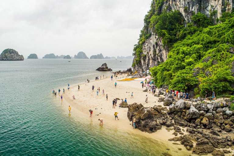 Desde Hanoi: 2D1N Bahía de Ha Long en Crucero Boutique Arcady