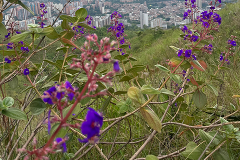 MEDELLÍN: Hiking to the Clouds: Explore the Cerro de las 3 Cruces (3 Crosses Hill)