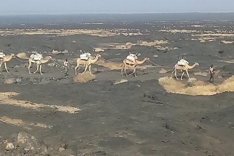 Danakil depression -Dallol-Ertale volcano-Afar Ethiopia Tour