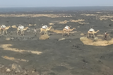 Danakil depression -Dallol-Ertale volcano-Afar Ethiopia Tour