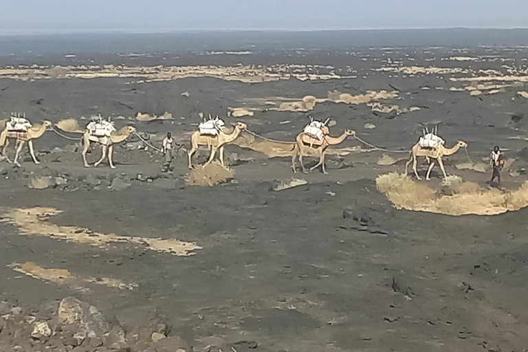 Danakil depression -Dallol-Ertale volcano-Afar Ethiopia Tour