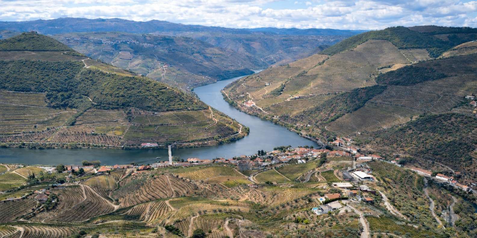 Douro Valley Small Group: 2 Wineries, Lunch & River Cruise