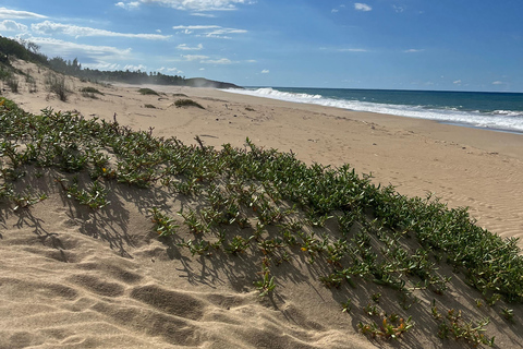San Juan - Arecibo : expédition dans le Midwest, chutes d'eau et plage