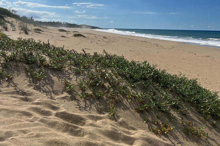 San Juan - Arecibo : expédition dans le Midwest, chutes d'eau et plage