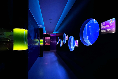 Prag: The World Of Jellyfish Ticket mit Getränk