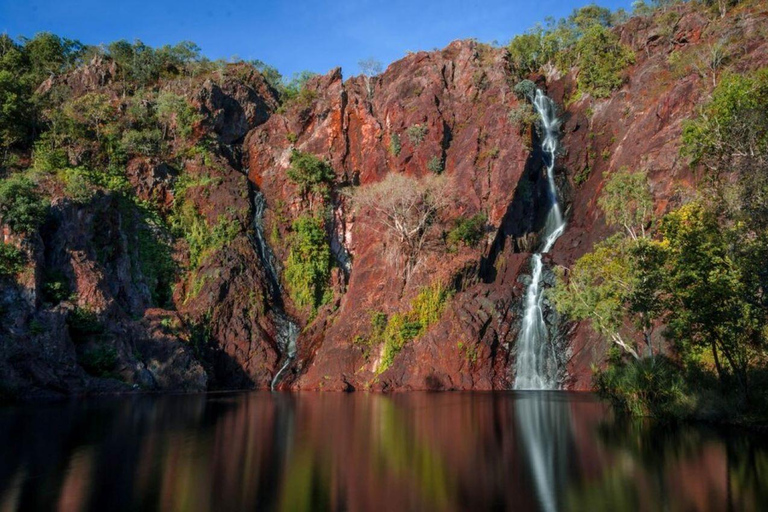 Overnight Safari to Aberdare National park from Nairobi