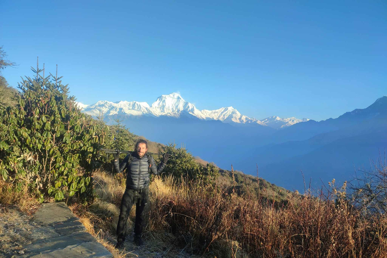 Ghorepani Poon Hill Trek - 4 Days