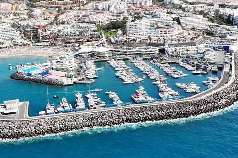 Passeio de iate para observação de baleias e mergulho com snorkel em Tenerife