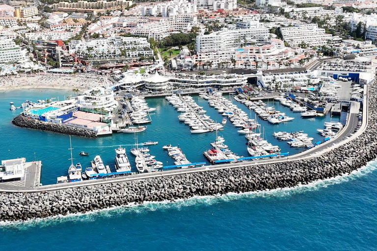 Passeio de iate para observação de baleias e mergulho com snorkel em Tenerife