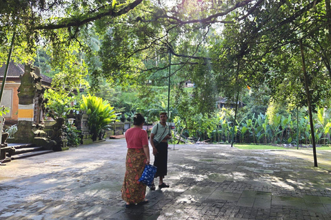 Bali: Holy Spring Temple Tour with Purification Ritual Basic Package Purification Ritual